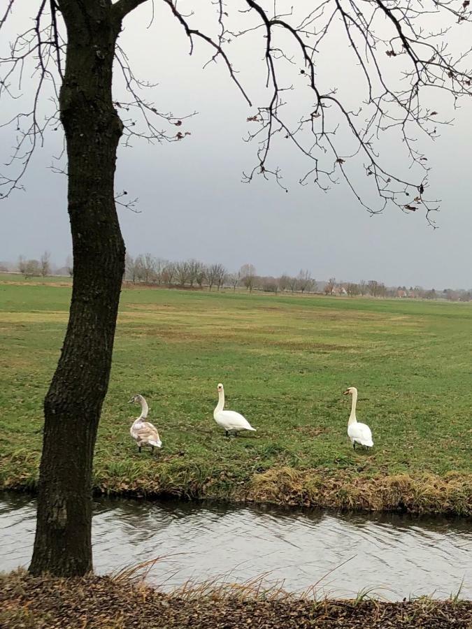 Ferienwohnung Im Park 1 Lenschow Экстерьер фото